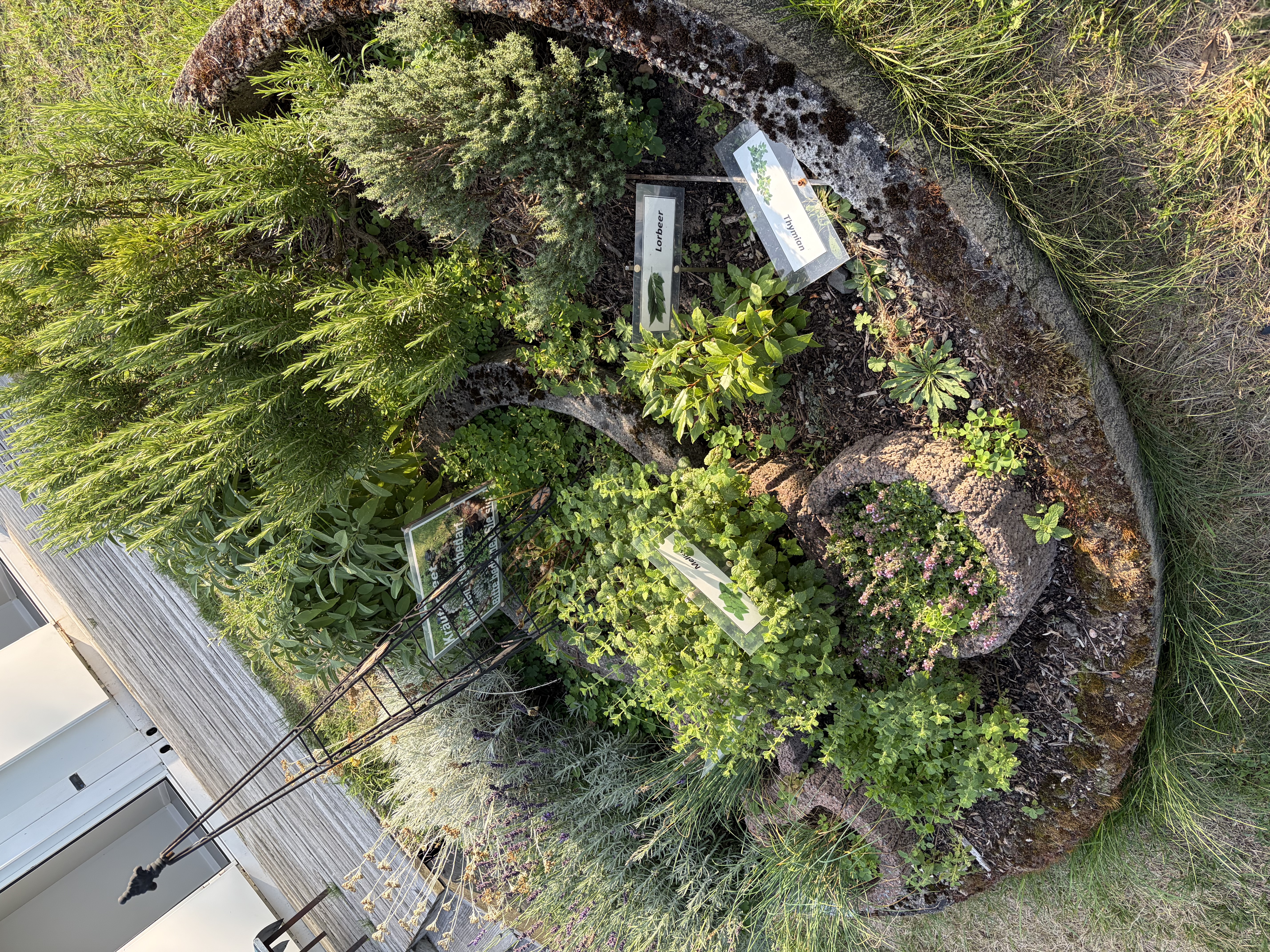 Wohnmobilstellplatz: Kräutergarten …..Beste Kräuter!😊 - Wienhausen Zum alten Wehr