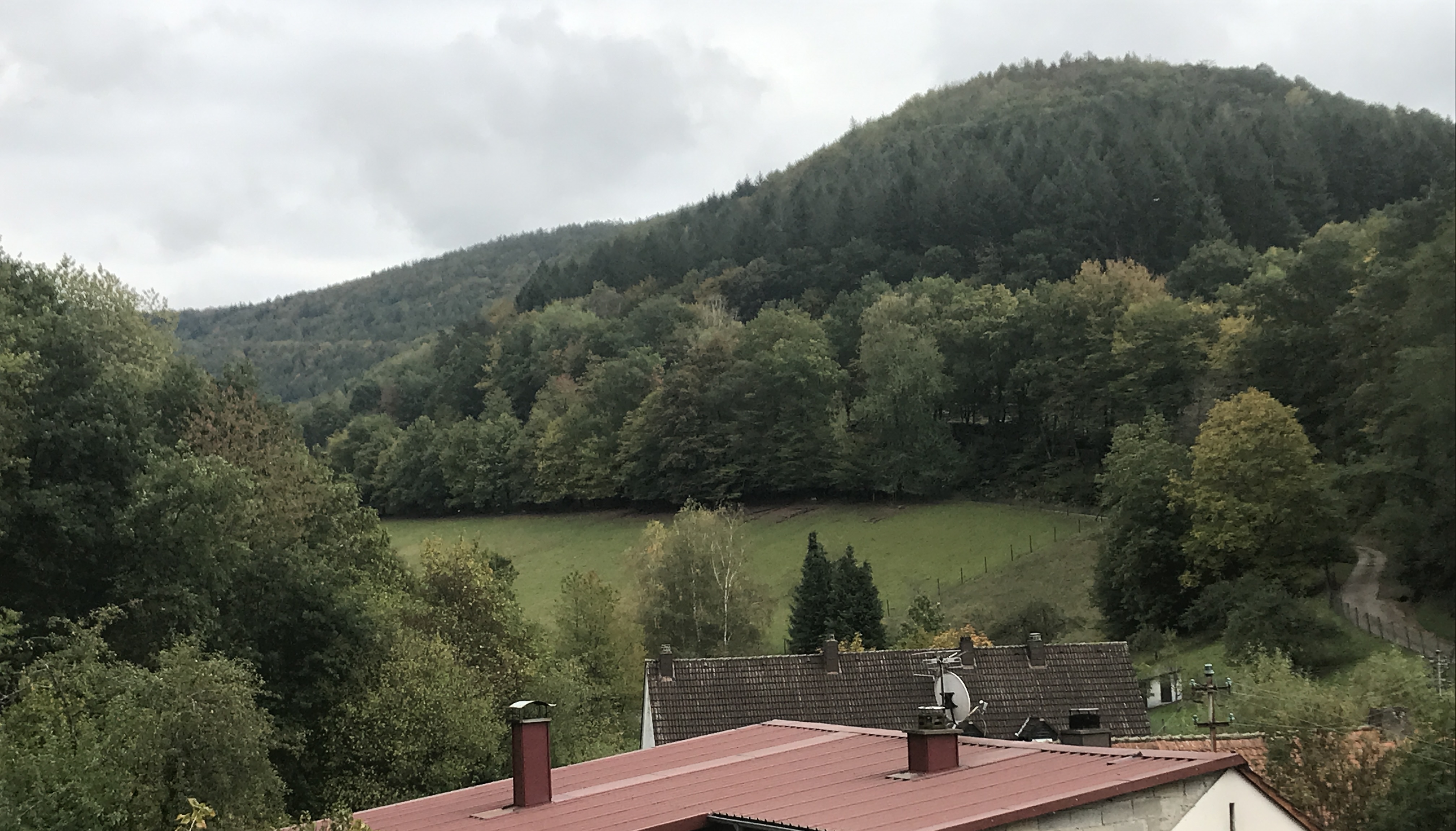 PalatinaCamping - Schnau Pfalz - Wohnmobilstellplatz in Schnau Pfalz,  Rheinland-Pfalz | stellplatz.info