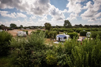 Wohnmobilstellplatz: Kommandørgårdens Camping og Feriepark