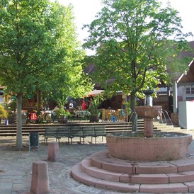 Wohnmobilstellplatz: Stellplatz am Schloß Külsheim