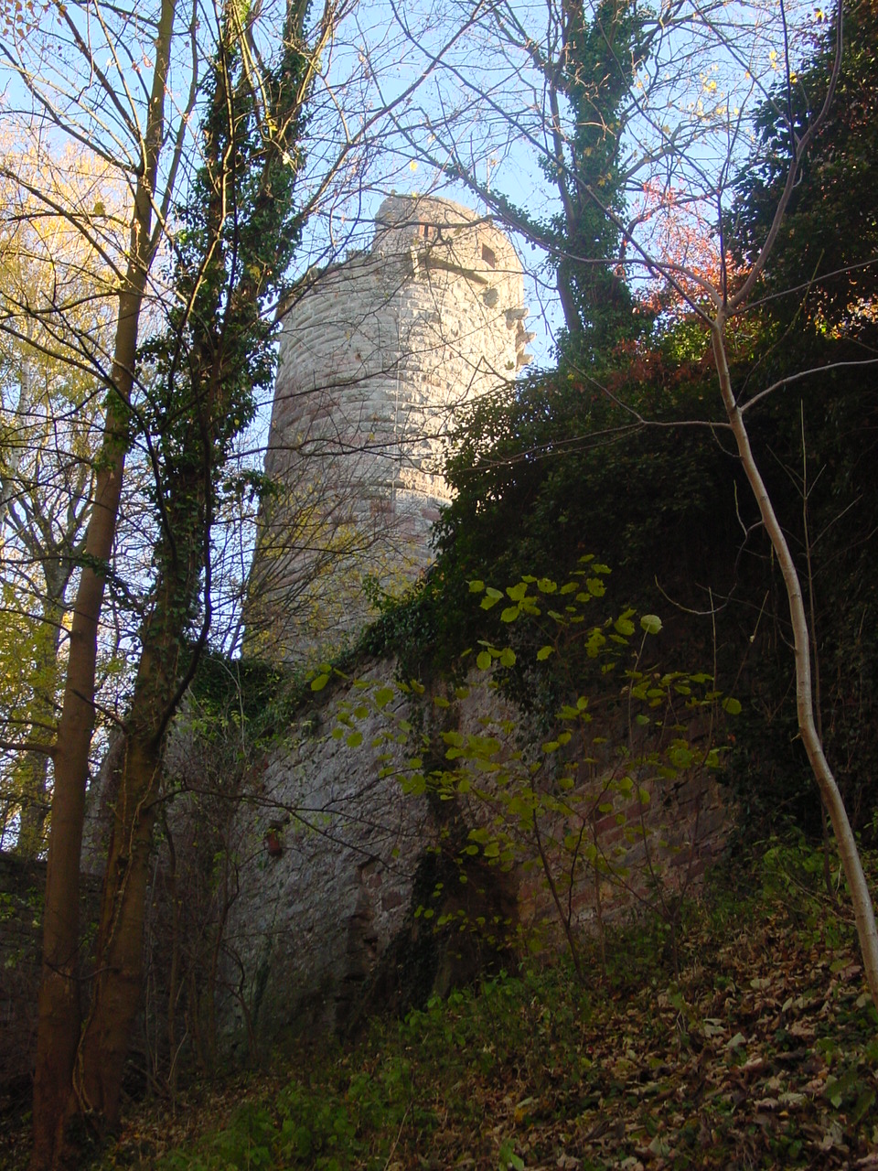 Wohnmobilstellplatz: Stellplatz am Schloß Külsheim