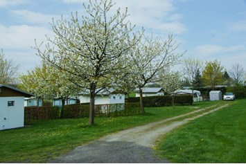 Wohnmobilstellplatz: Komfort Camping Panoramablick Dankerode (Harz) im Frühjahr mit blühenden Kirschbäumen - Stellplatz am Komfortcamping Panoramablick