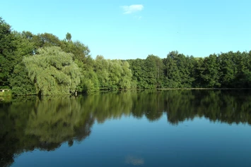 Wohnmobilstellplatz: Unser Badesee für groß und klein - Country Camping Schinderhannes