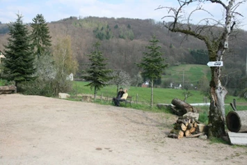 Wohnmobilstellplatz: Homepage http://www.kreiterhof.de/ - Stellplatz an der Kreiterhof Weinschenke