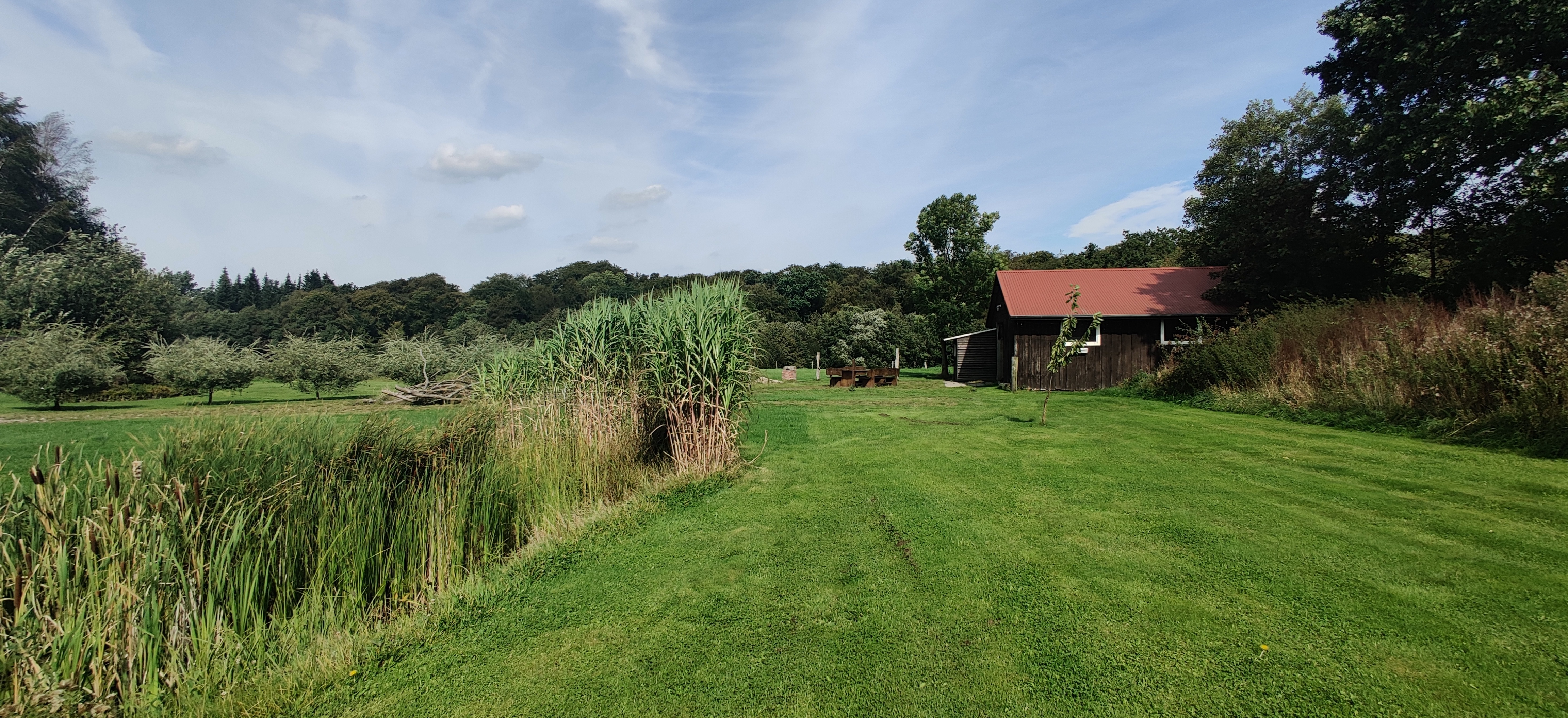 Reisemobilstellplatz: Stellplatz 3 - Stars & Garden - Stellplatz in Alleinlage - Natur pur -