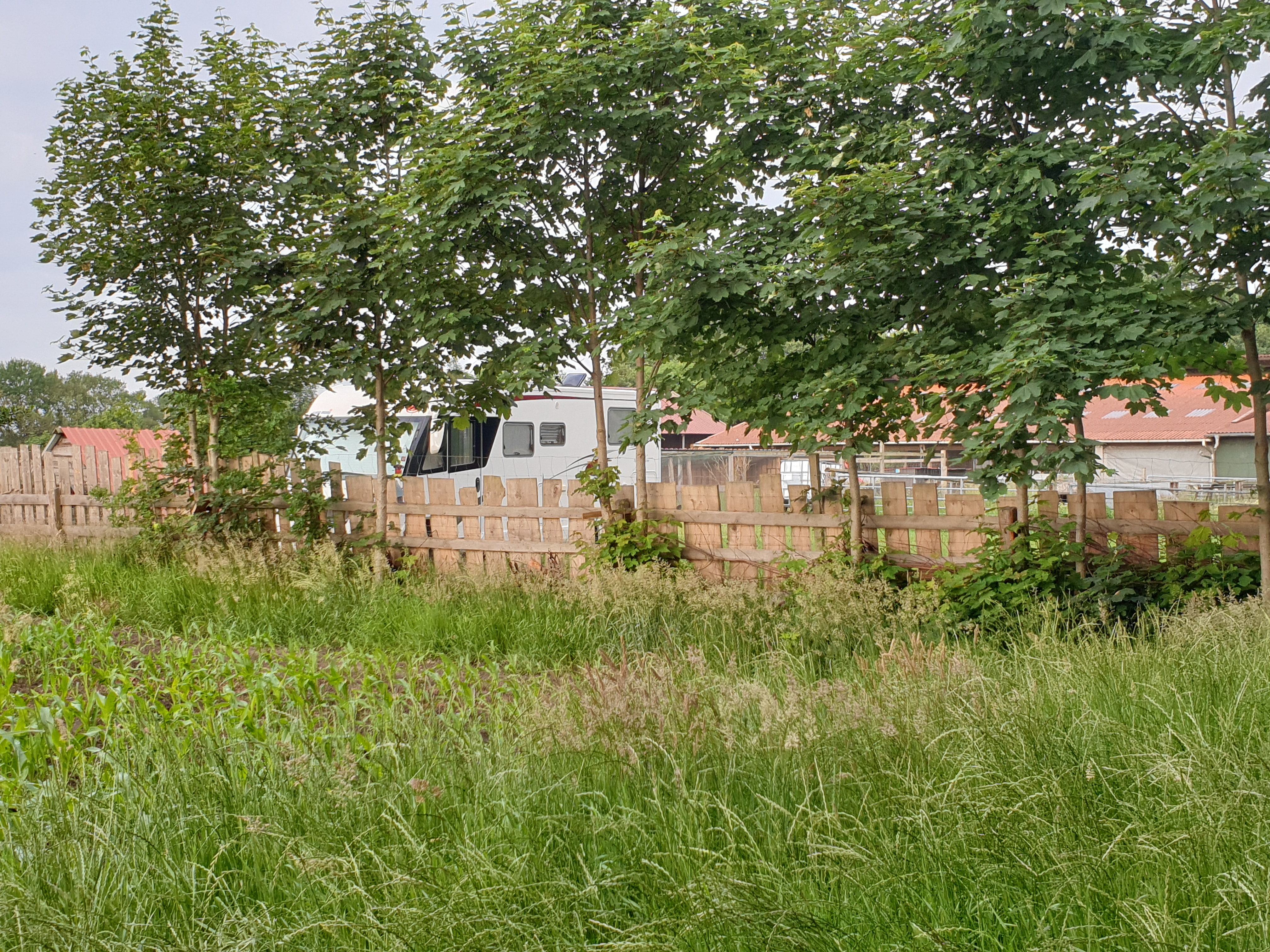 Reisemobilstellplatz - Preisniveau: günstig - Wingst - Geschützt durch die Bäume - Hof Wolff-von der Lieth