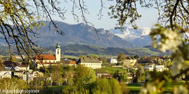 Reisemobilstellplatz - Umgebungsschwerpunkt: Berg - Oberösterreich - Familie Franz Forster 
