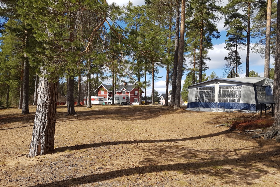 Wohnmobilstellplatz: Campingplatz mit Blick auf Herberge - Furudals Vandrarhem och Sjöcamping