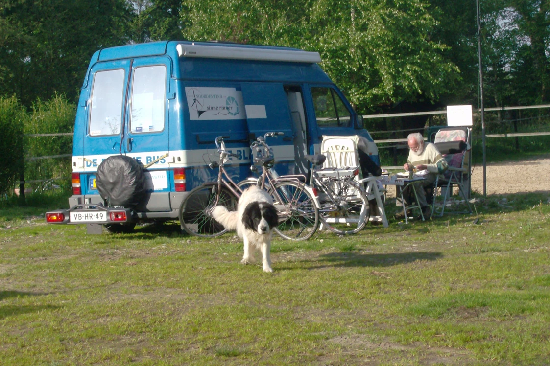 Wohnmobilstellplatz: Melkhus und Pferdehof Drei Eichen