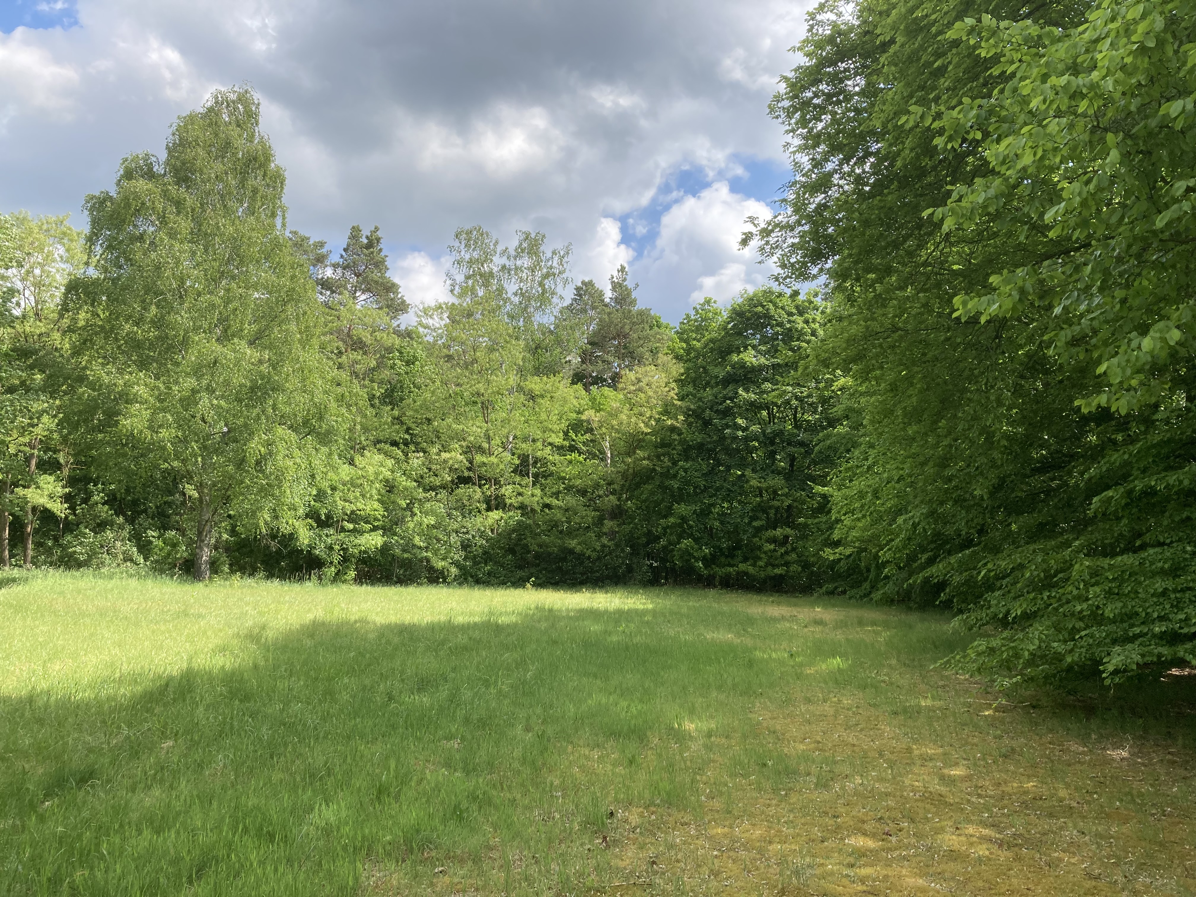 Reisemobilstellplatz - Frischwasserversorgung - Nordwestuckermark - Stellplatz 1 SW am Waldrand - Marienheim