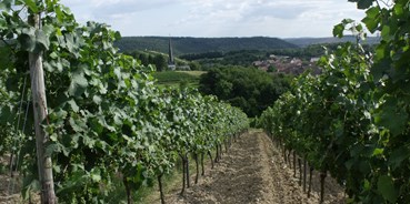 Reisemobilstellplatz - Wohnwagen erlaubt - Oberwesel - Waldlaubersheim im Weinbaugebiet "Nahe" - Weingut Paulus