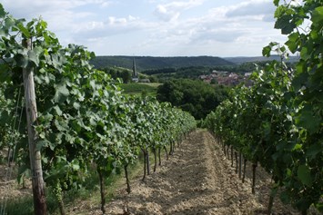 Wohnmobilstellplatz: Waldlaubersheim im Weinbaugebiet "Nahe" - Weingut Paulus