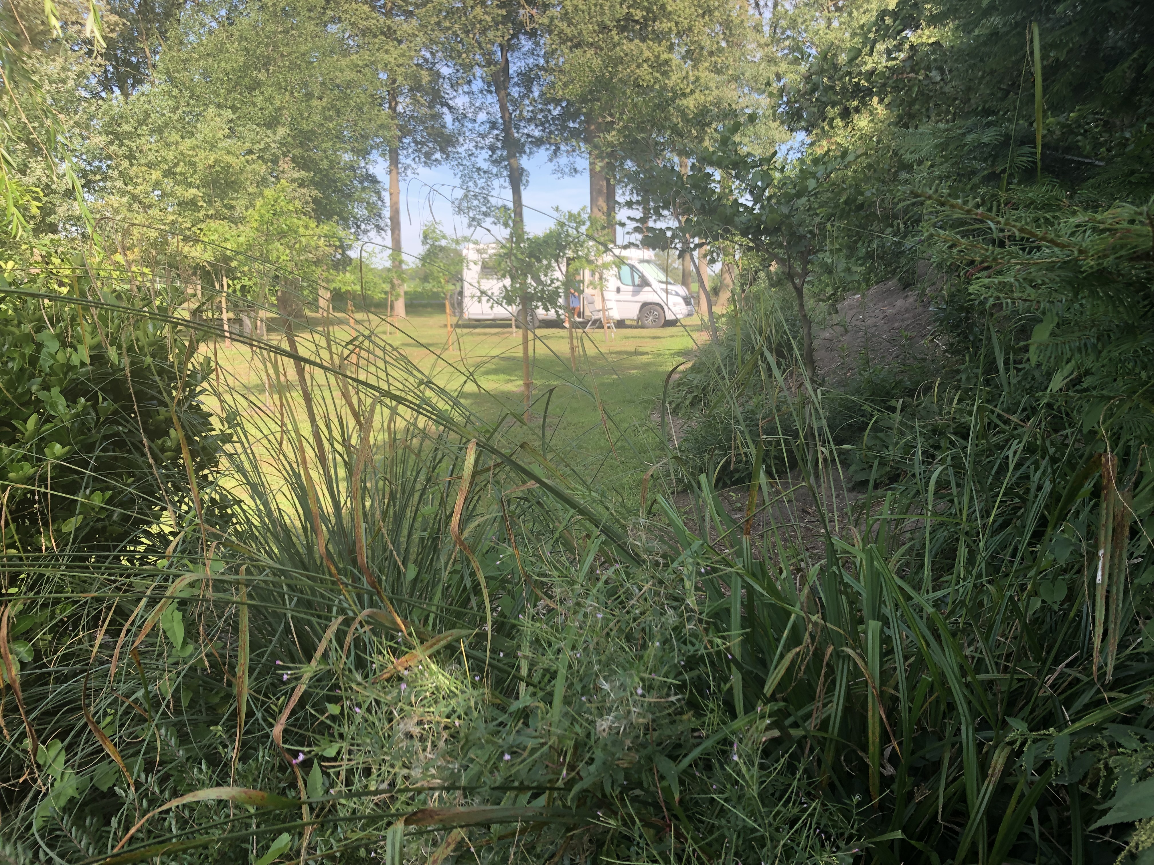 Area sosta per camper - Billerbeck - Wohnmobilstellplatz auf Bauernhof 