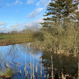 Wohnmobilstellplatz: campgreen