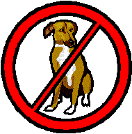 Wohnmobilstellplatz: Enschuldigung, aber Hunde sind verboten am Campingplatz - Camping Janse Zoutelande