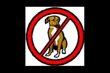 Wohnmobilstellplatz: Enschuldigung, aber Hunde sind verboten am Campingplatz - Camping Janse Zoutelande
