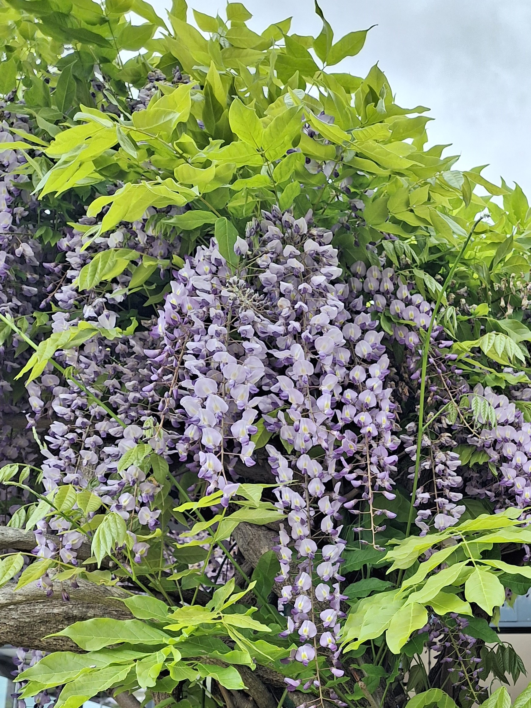 Wohnmobilstellplatz: Camping Stone Valley