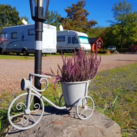 Wohnmobilstellplatz: Herbst - Wohnmobilstellplatz Nordkirchen