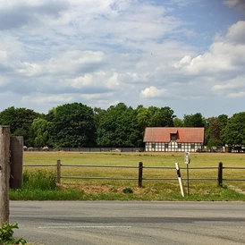 Wohnmobilstellplatz: Blick zum Tierpark - Wohnmobilstellplatz am Tierpark Ströhen