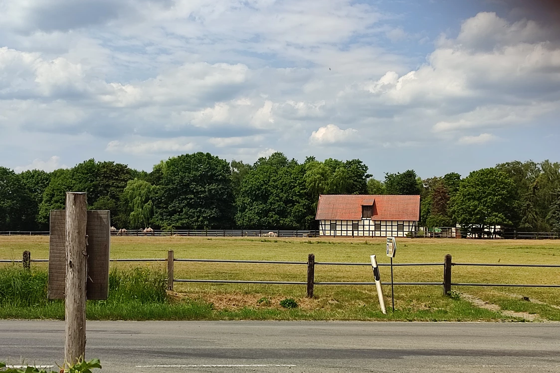 Wohnmobilstellplatz: Blick zum Tierpark - Wohnmobilstellplatz am Tierpark Ströhen