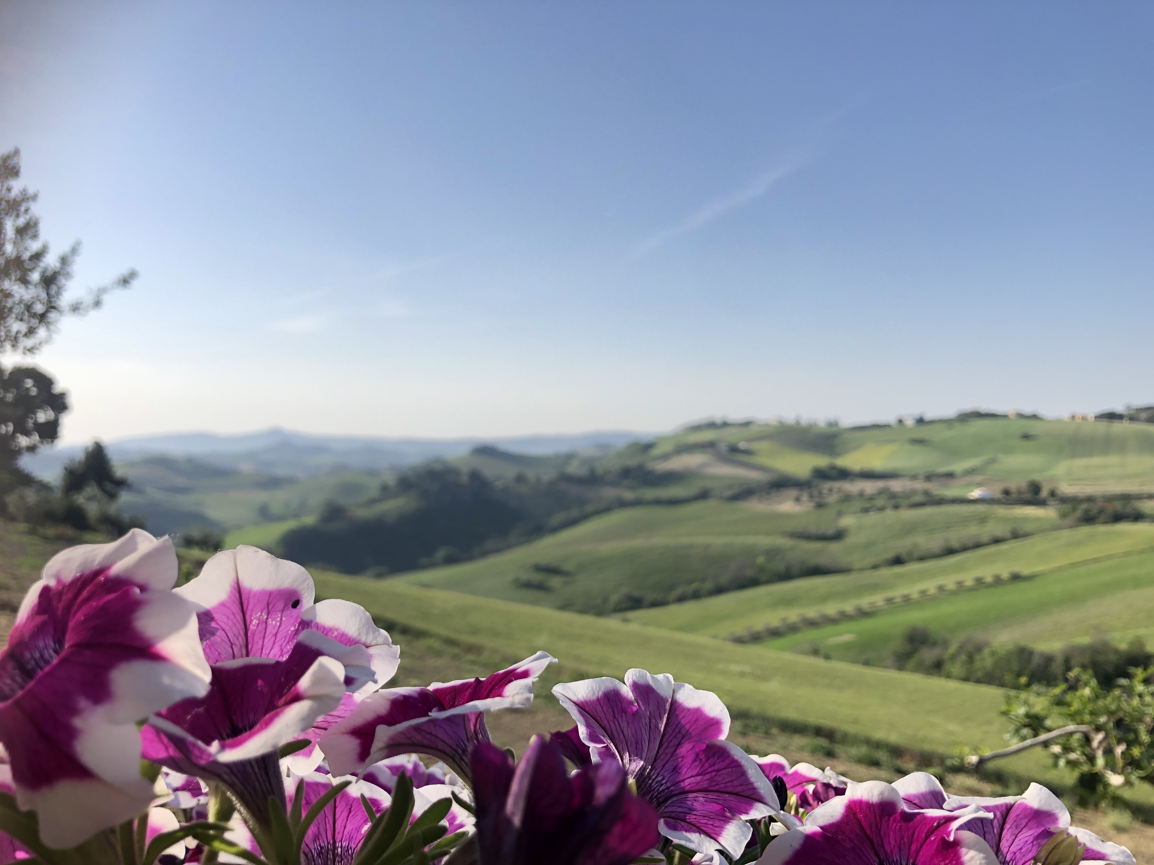 Wohnmobilstellplatz: Agricamping Il Masso