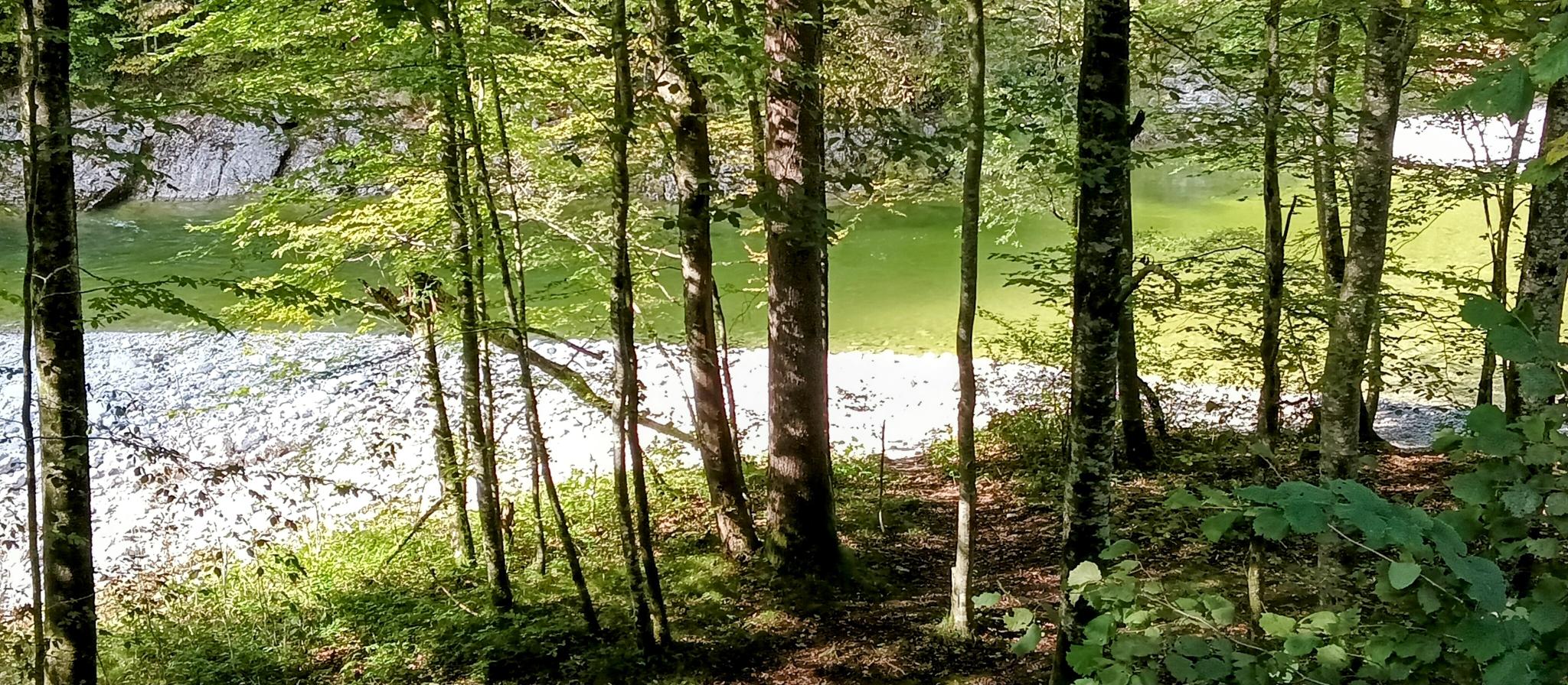 Wohnmobilstellplatz: Vom Radweg der Blick auf den Reichramingbach - Stellplatz, Camping zum "scheuen Reh", Hintergebirge, Region Phyrn-Eisenwurzen, Nationalpark Kalkalpen