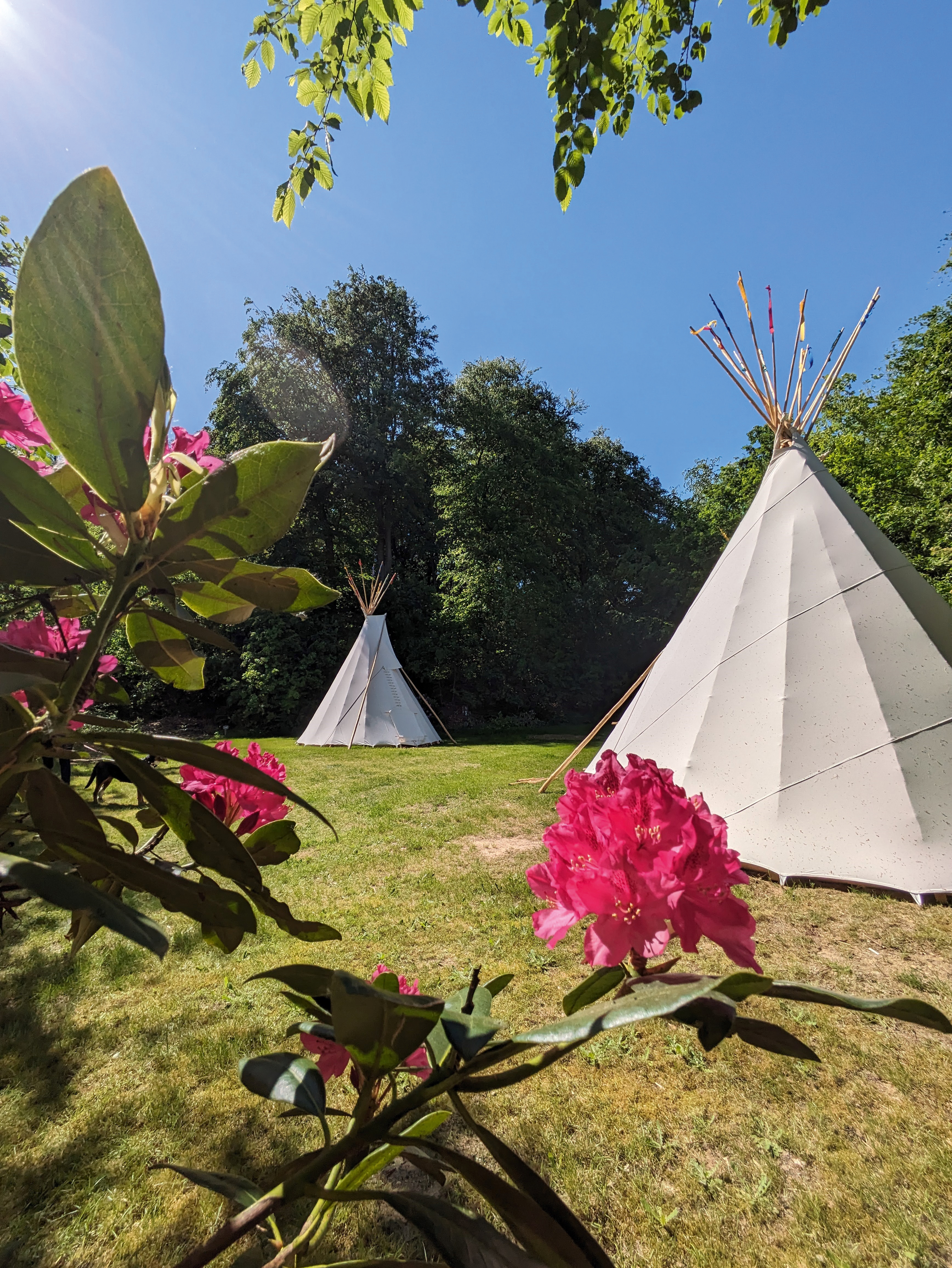 Wohnmobilstellplatz: Reisemobilstellplätze am KNAUS Campingpark Wingst
