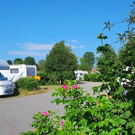 Wohnmobilstellplatz: www.jemgum-urlaub.de - Wohnmobilstellplatz "Am Deich" in Ditzum