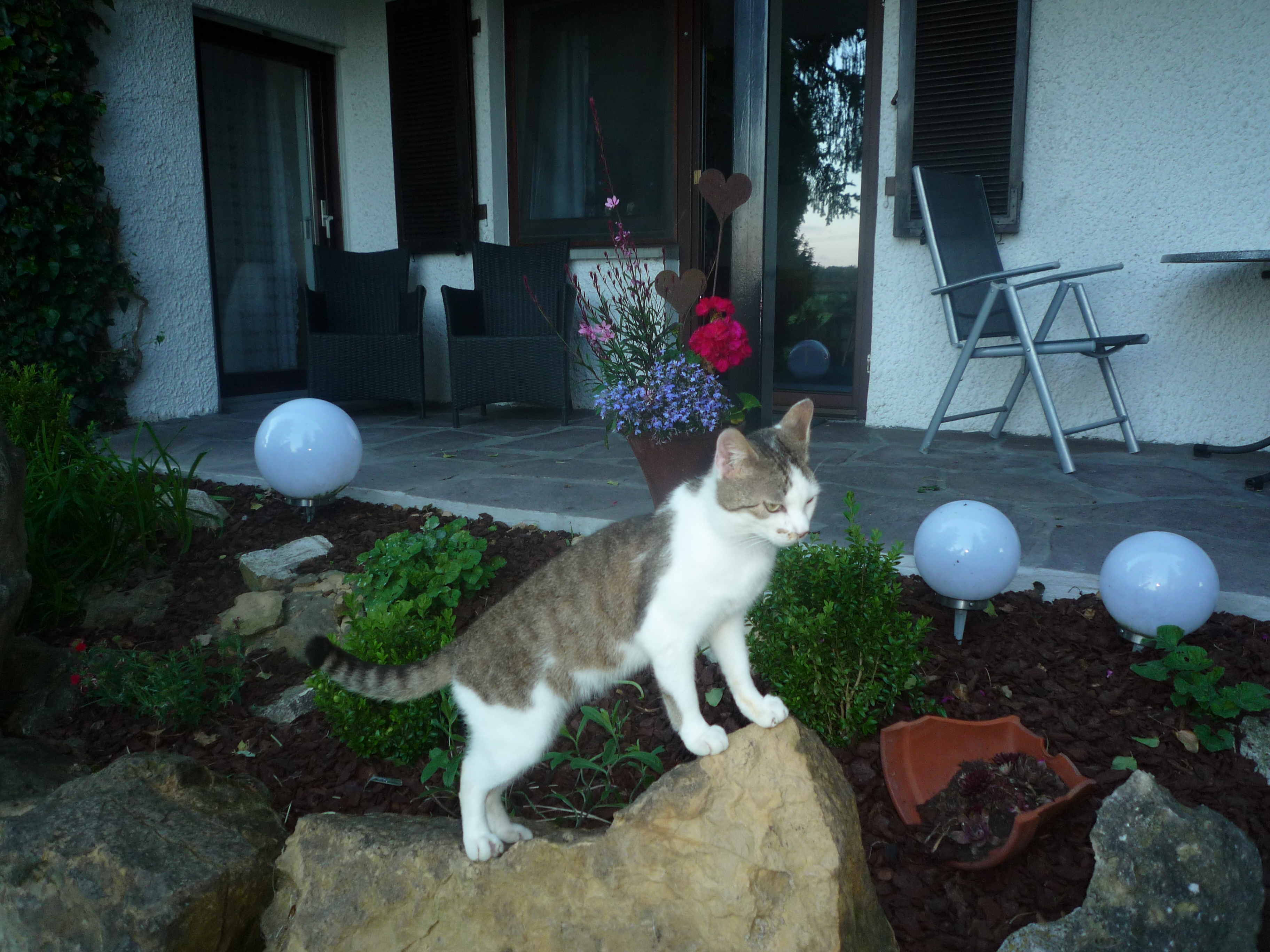 Wohnmobilstellplatz: Stellplätze und Camping am Ferien-Hofer