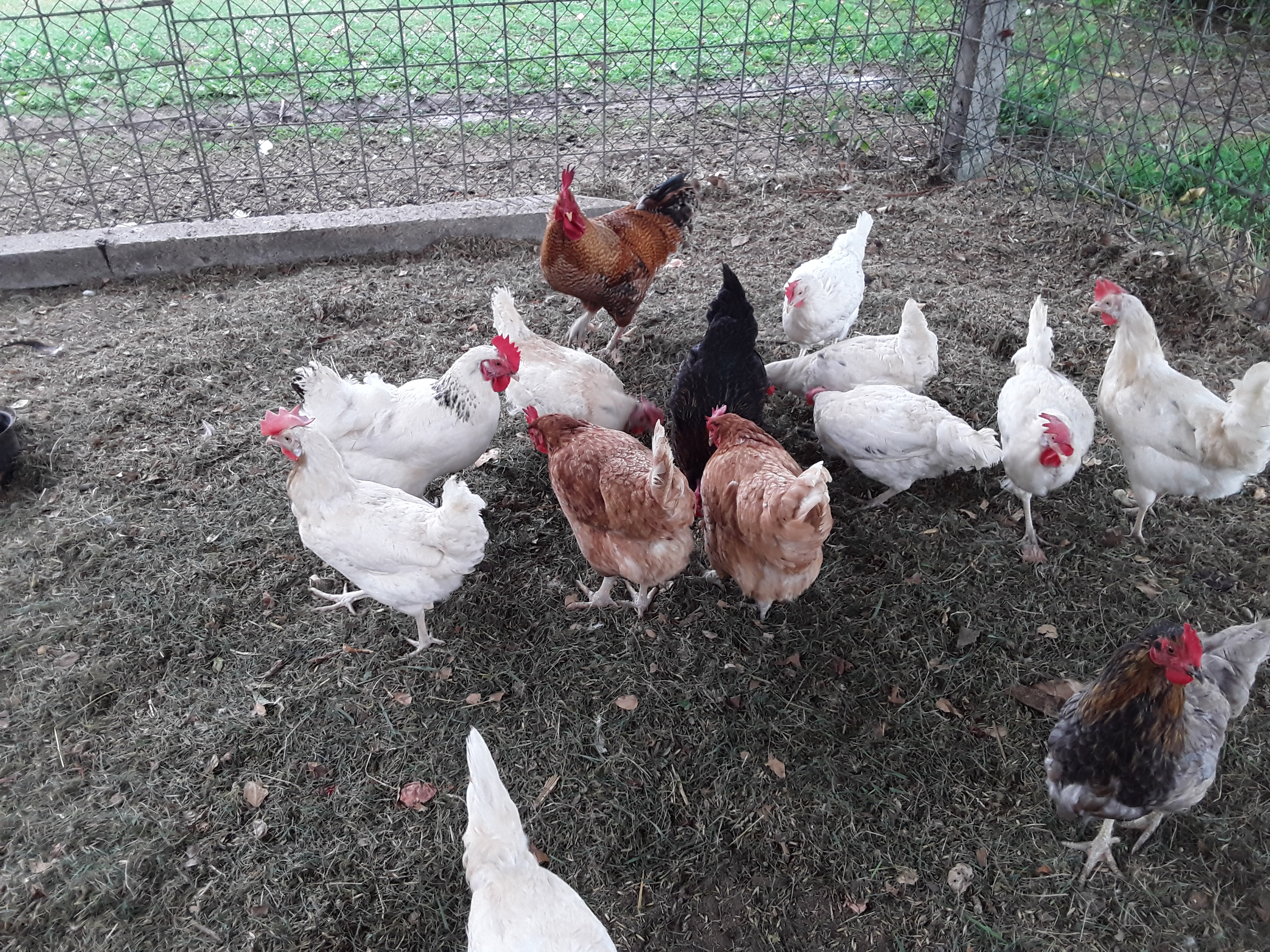 Wohnmobilstellplatz: Stellplätze und Camping am Ferien-Hofer