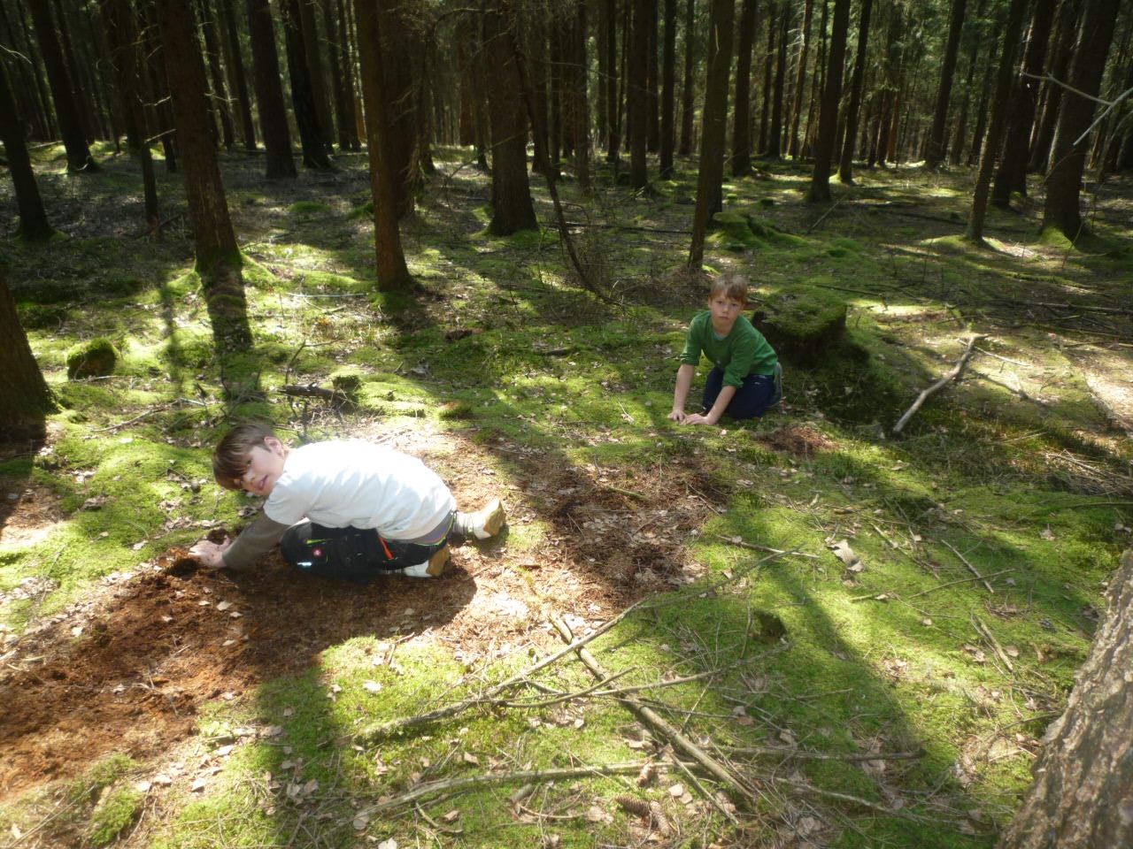 Wohnmobilstellplatz: Stellplätze und Camping am Ferien-Hofer