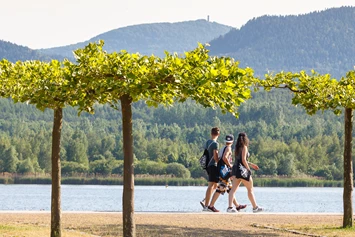 Wohnmobilstellplatz: Platanenhain am See - Stellplätze am SeeCamping Zittauer Gebirge