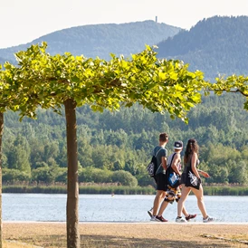 Wohnmobilstellplatz: Platanenhain am See - Stellplätze am SeeCamping Zittauer Gebirge