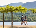 Wohnmobilstellplatz: Platanenhain am See - Stellplätze am SeeCamping Zittauer Gebirge