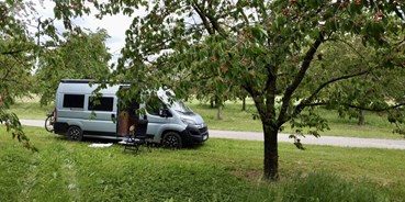 Reisemobilstellplatz - Hunde erlaubt: Hunde erlaubt - Buggingen - Auf einer Wiese inmitten von Kirschbäumen