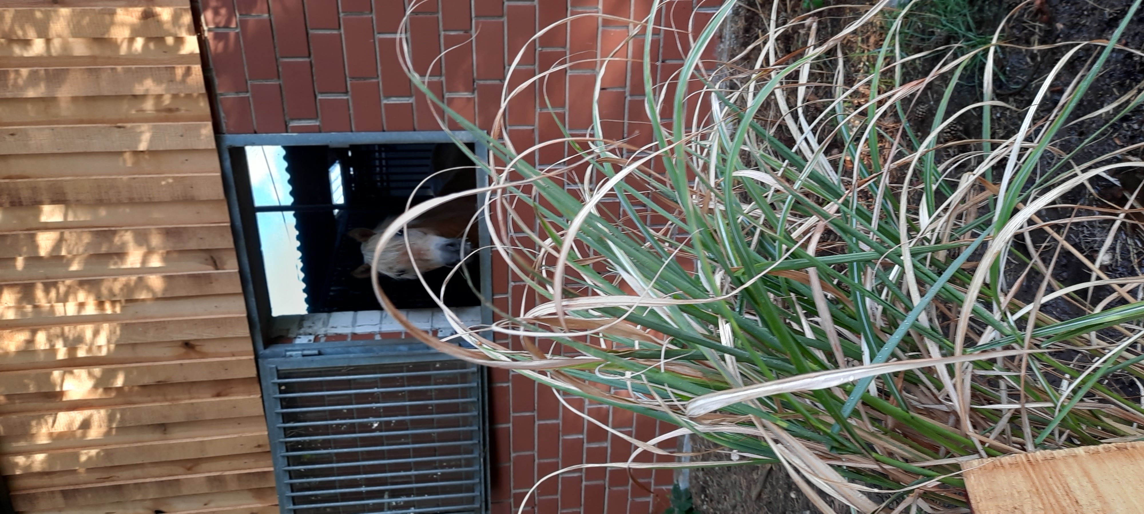 Reisemobilstellplatz - Stromanschluss - Beckum - Hof Rohmann Tor zum Münsterland