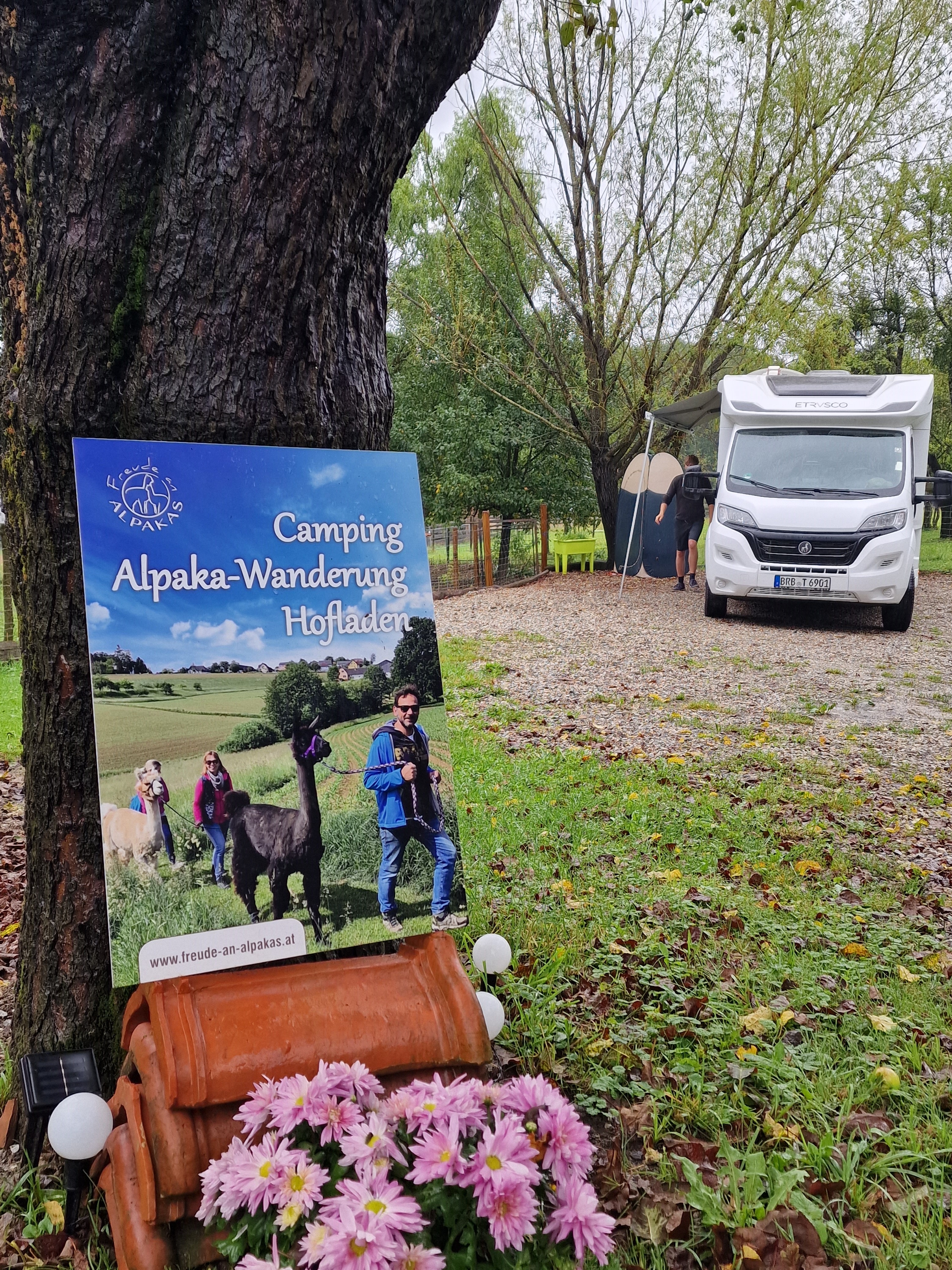 Camping direkt an der Alpakaweide Wohnmobilstellplatz in