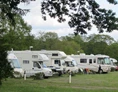 Wohnmobilstellplatz: Wohnmobilhafen Steenfelderfeld - Wohnmobilhafen Steenfelderfeld