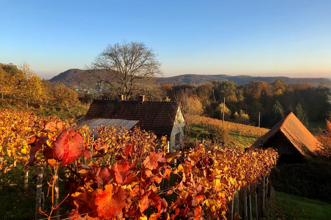 Wohnmobilstellplatz: 360° Weinberg Sicht Tieschen