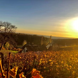 Wohnmobilstellplatz: 360° Weinberg Sicht Tieschen