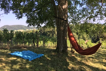 Wohnmobilstellplatz: 360° Weinberg Sicht Tieschen