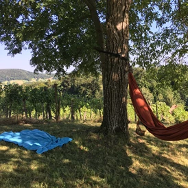 Wohnmobilstellplatz: 360° Weinberg Sicht Tieschen