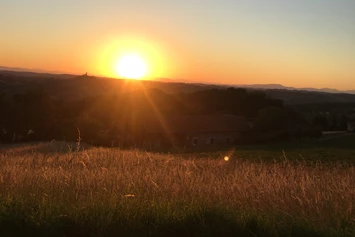 Wohnmobilstellplatz: 360° Weinberg Sicht Tieschen