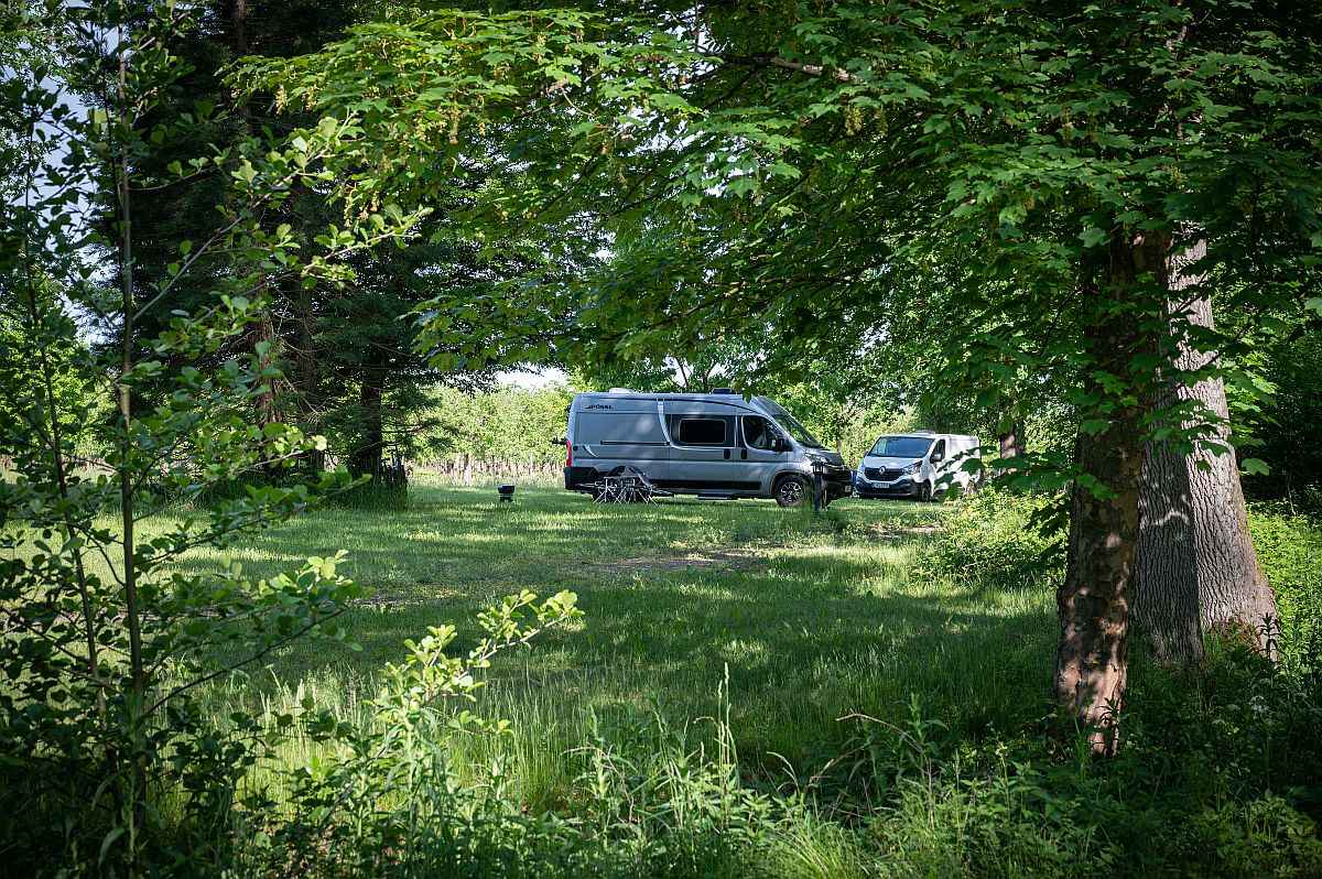 Wohnmobilstellplatz: Stellplatz Gut Schwechow