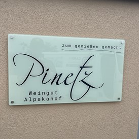 Wohnmobilstellplatz: Weingut und Alpakahof Pinetz