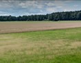 Wohnmobilstellplatz: Ausblick von den Stellplätzen - Wohnmobilstellplätze Bauernhof in Heber Surbostel 11 zwischen Schneverdingen und Soltau am Jakobsweg Lüneburger Heide